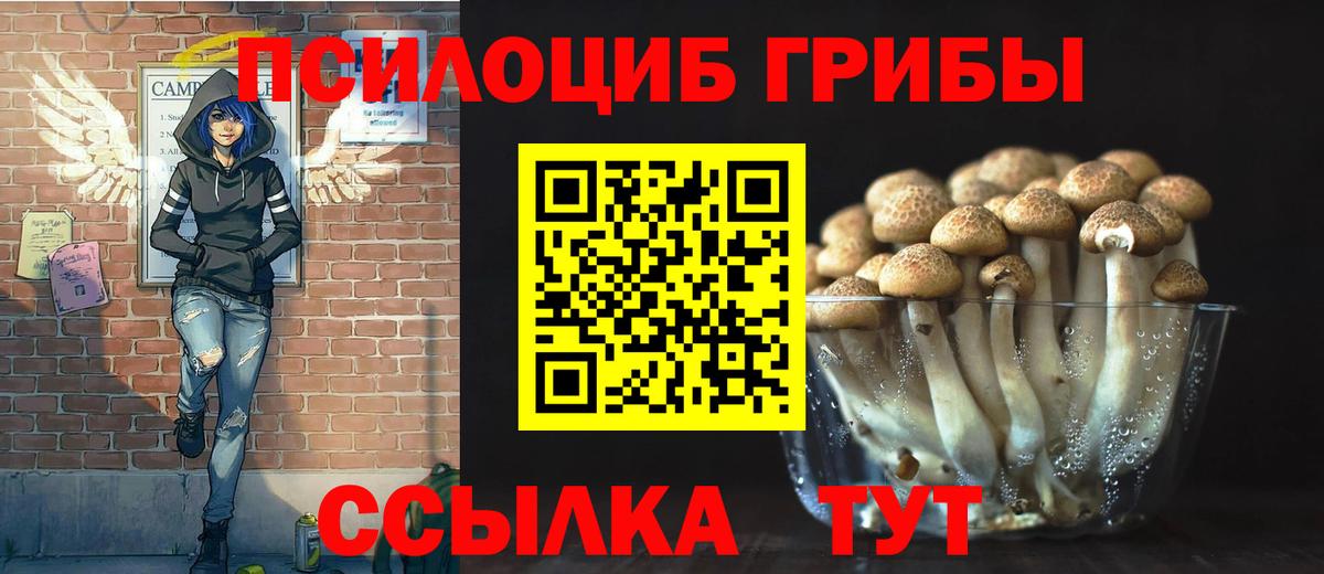 Нягань  Псилоцибиновые грибы GOLDEN TEACHER  Вход с VPN 