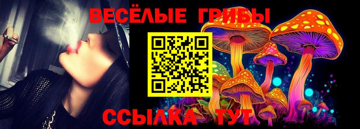 Псилоцибиновые грибы Cubensis Нягань